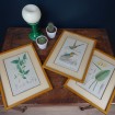 3 Naturalist frames "Flowers & Birds"