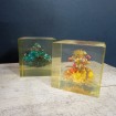 2 Plexiglass cubes paperweights, curiosity cabinet: green quartz & flowers