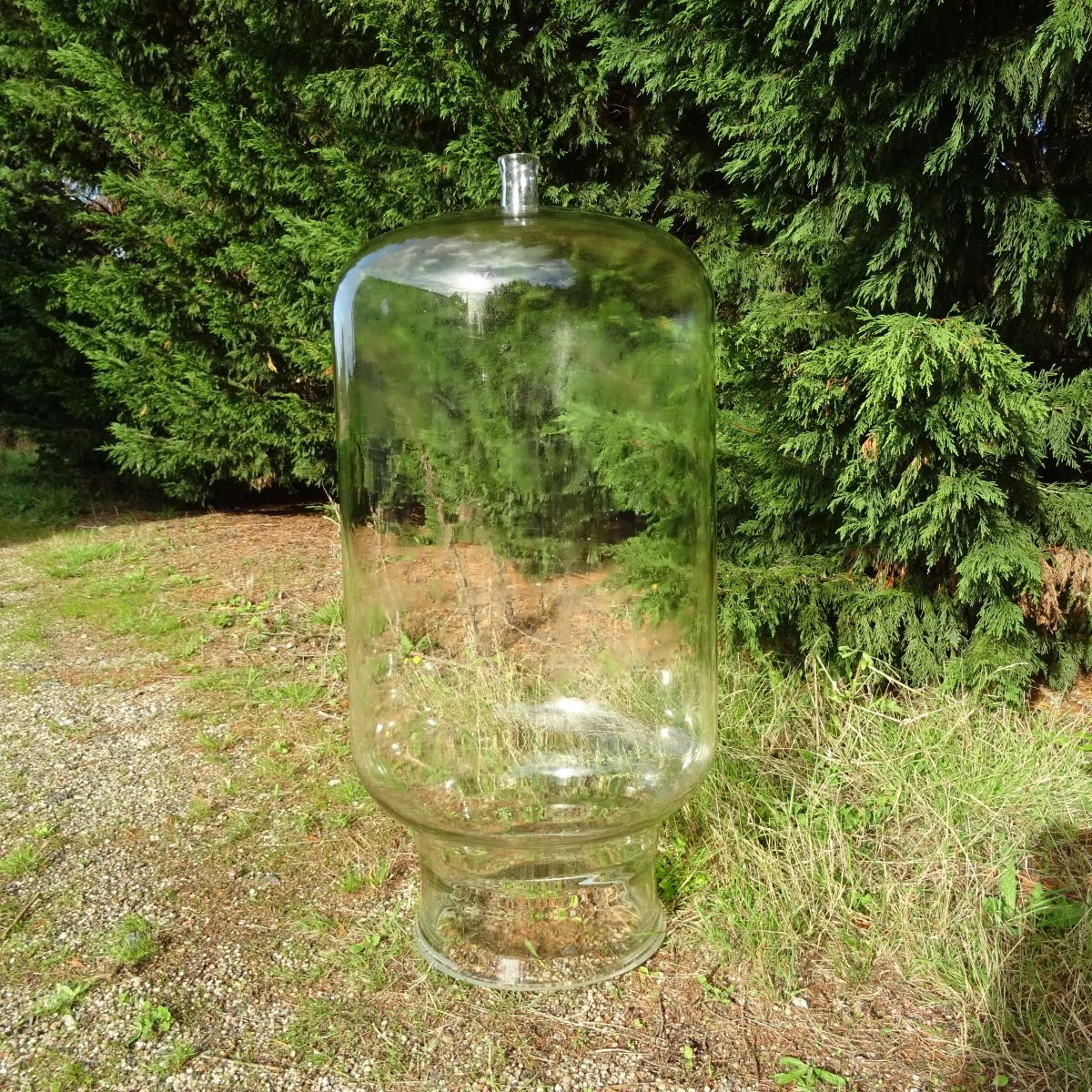 Gigantesque bonbonne verre chimie 80L pour plante terrarium lampe