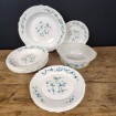 ARCOPAL Forget-Me-Not Plates & Dishes for 6