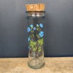 Vintage herbalist jar in thick glass with cork lid and screen printed Ranunculus Acris